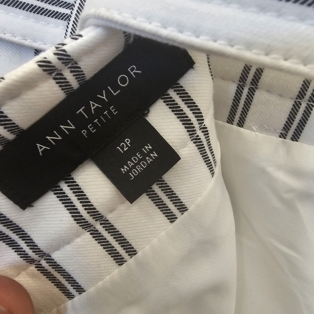 Ann Taylor, pinstripe, office, travel, vacation, casual, belt, streetwear - Picture 4 of 5
